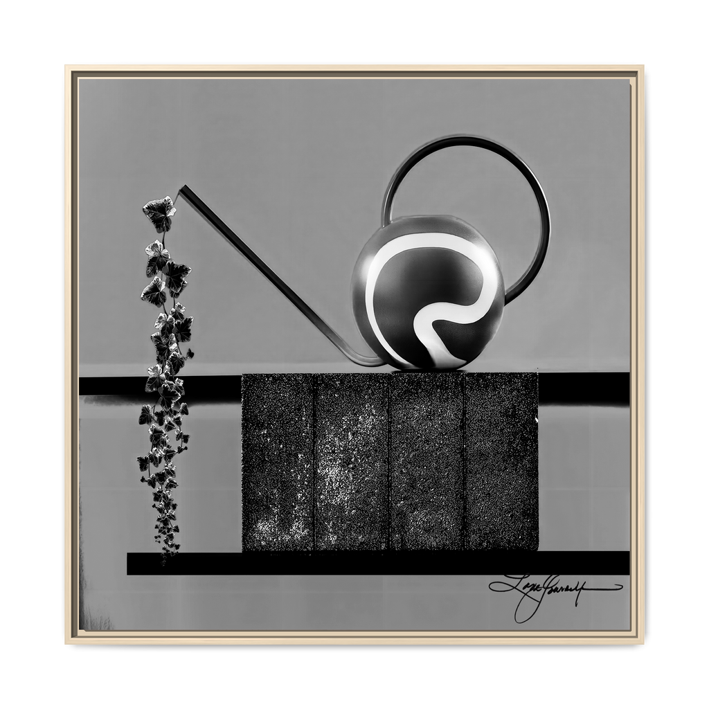 TBN006