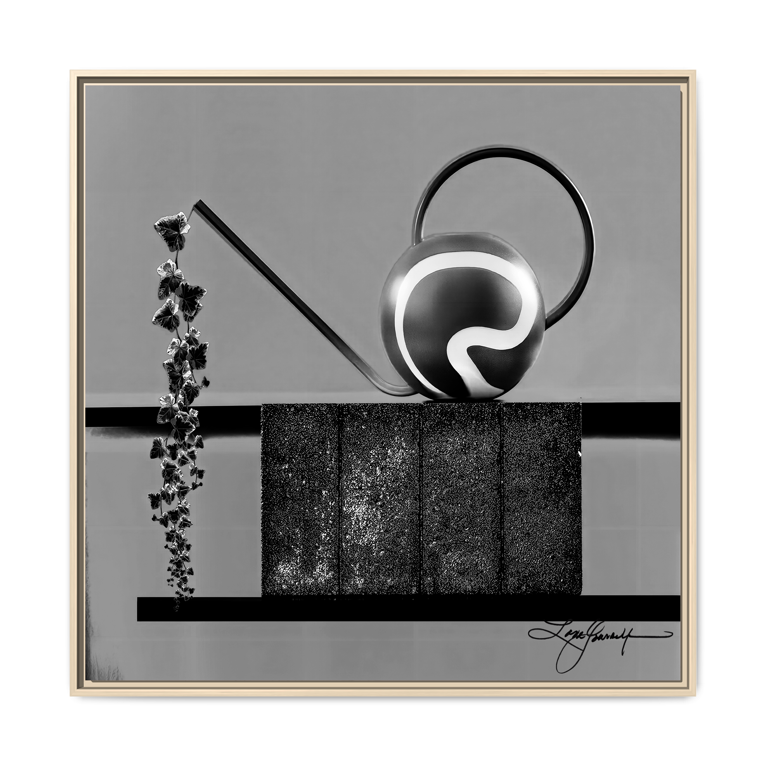 TBN006