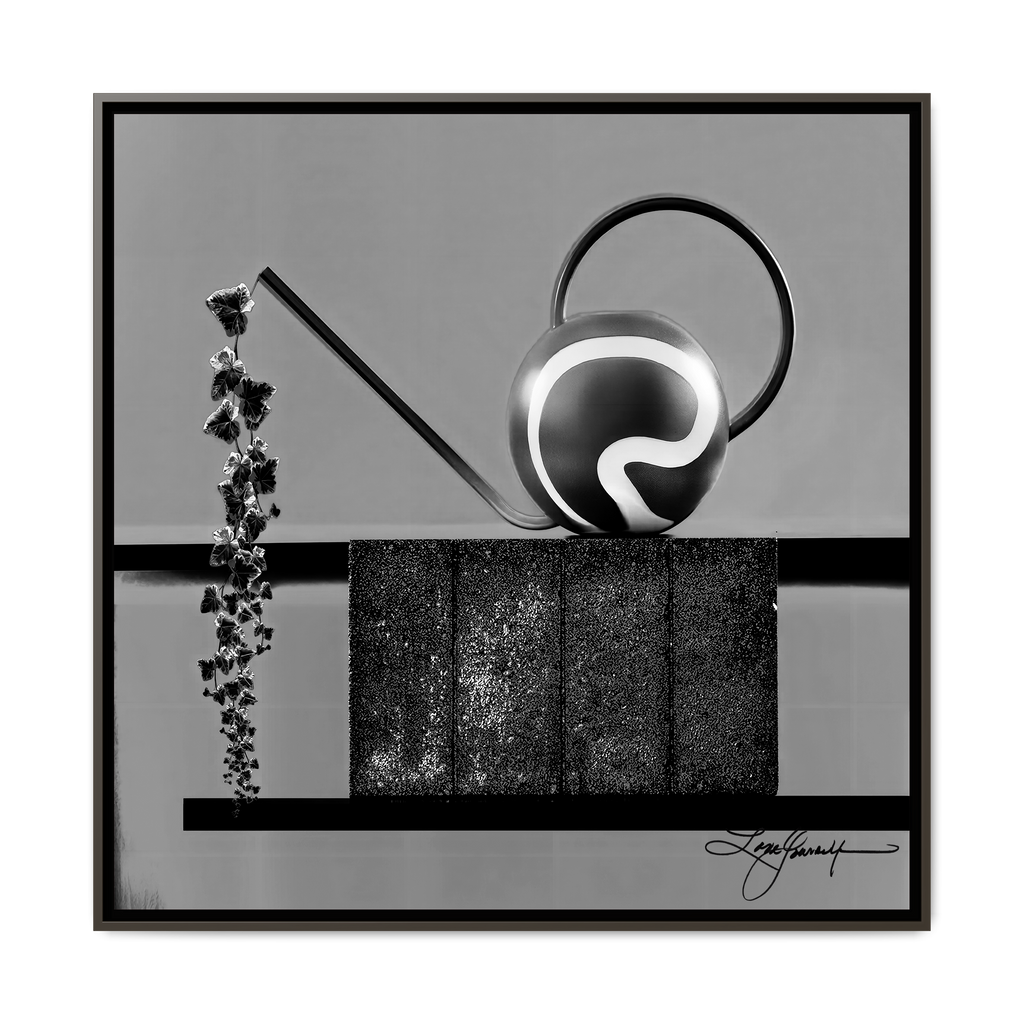 TBN006