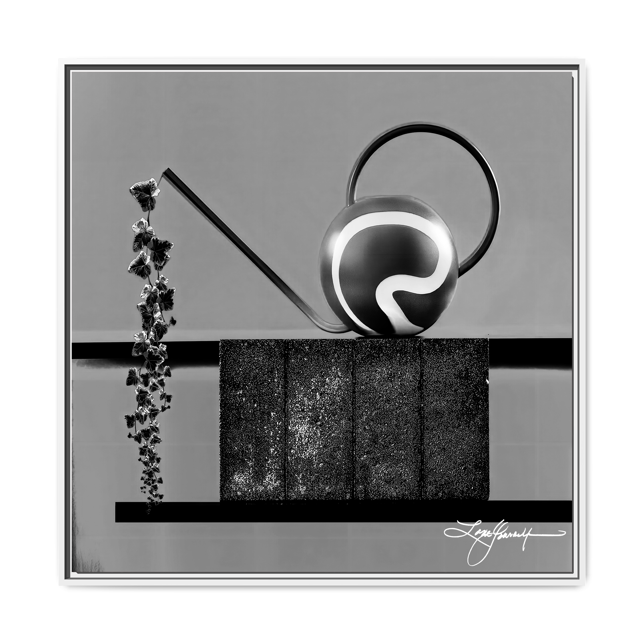 TBN006