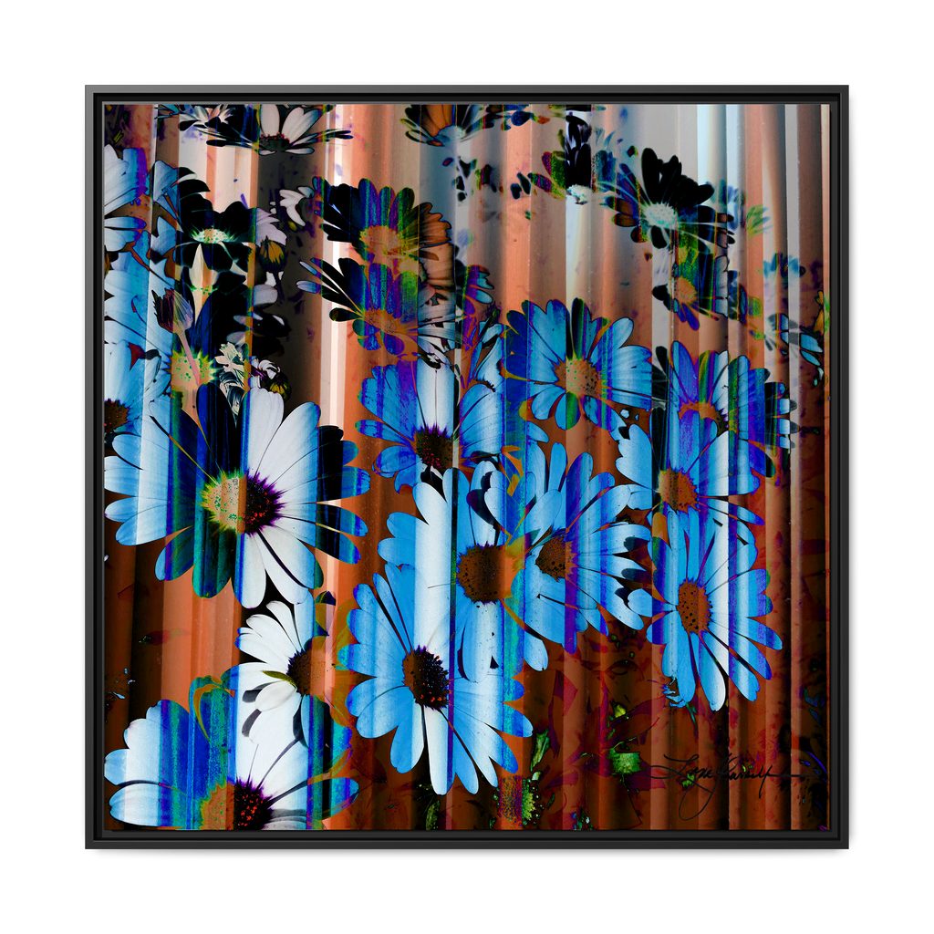 TBN009