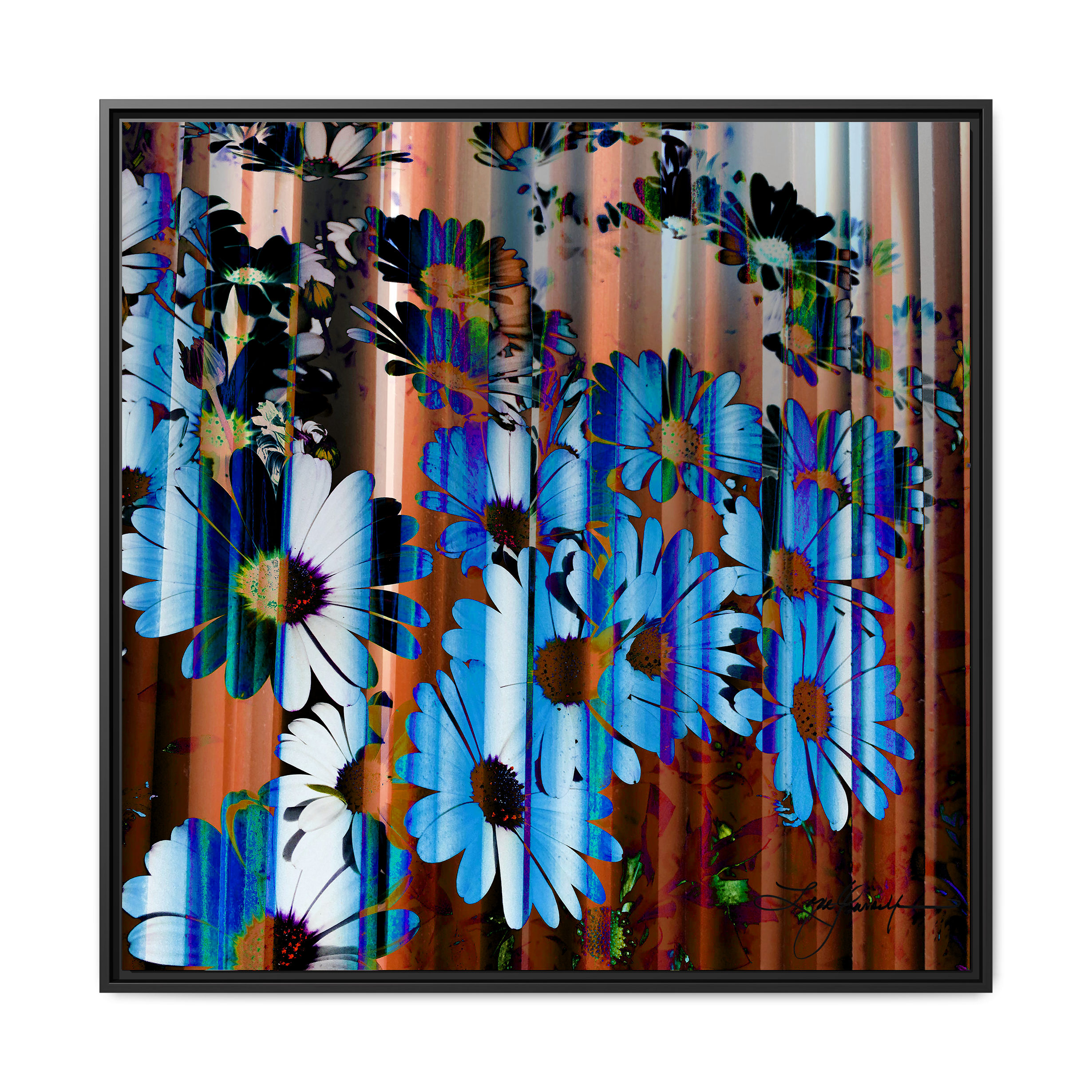 TBN009
