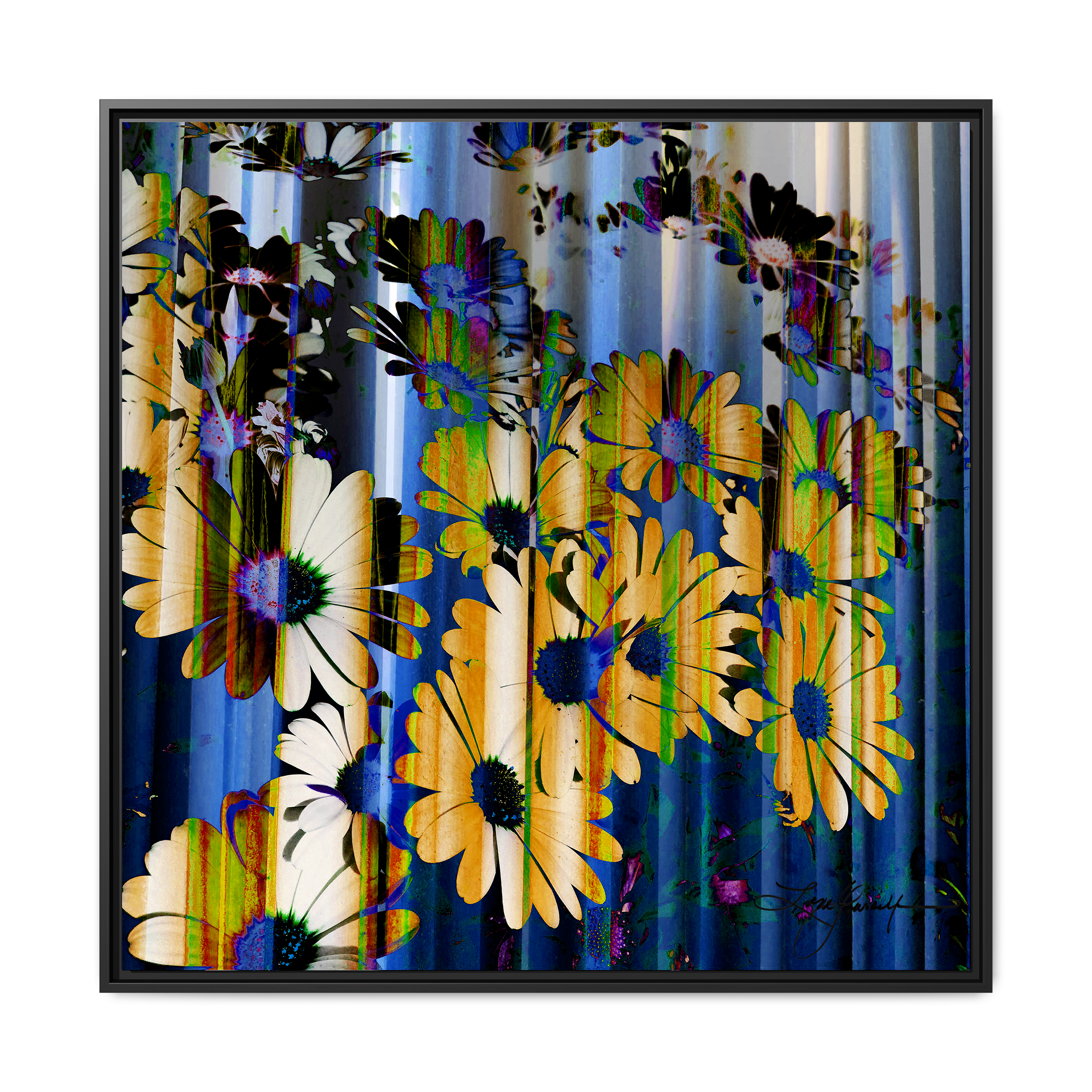 TBN009