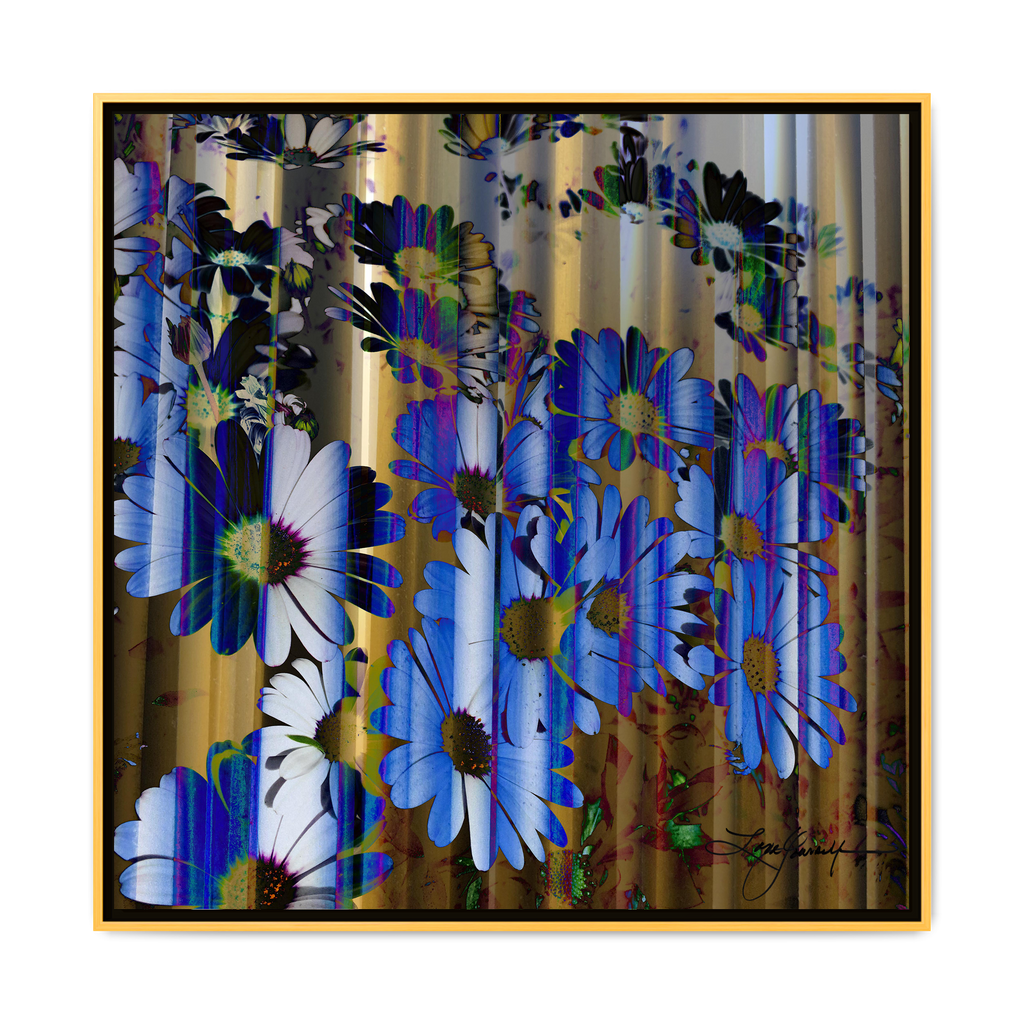 TBN009
