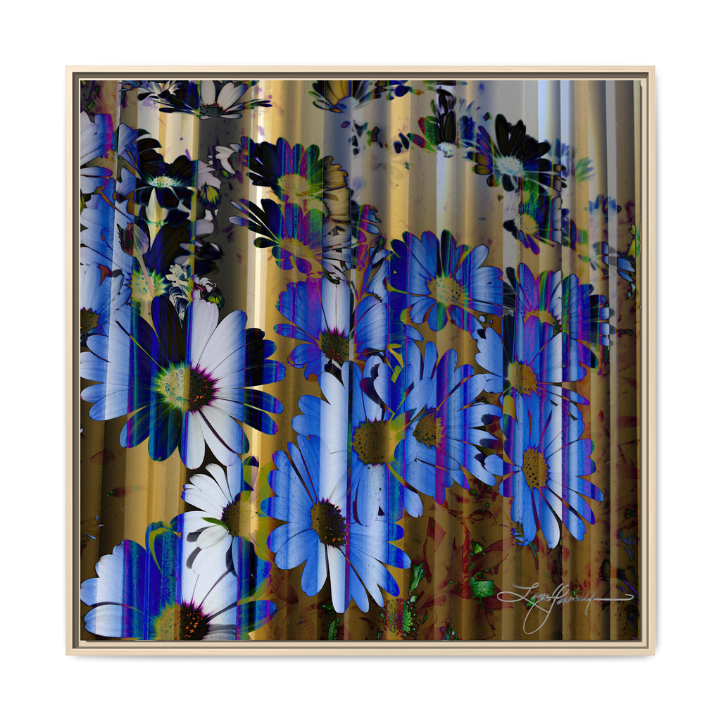 TBN009