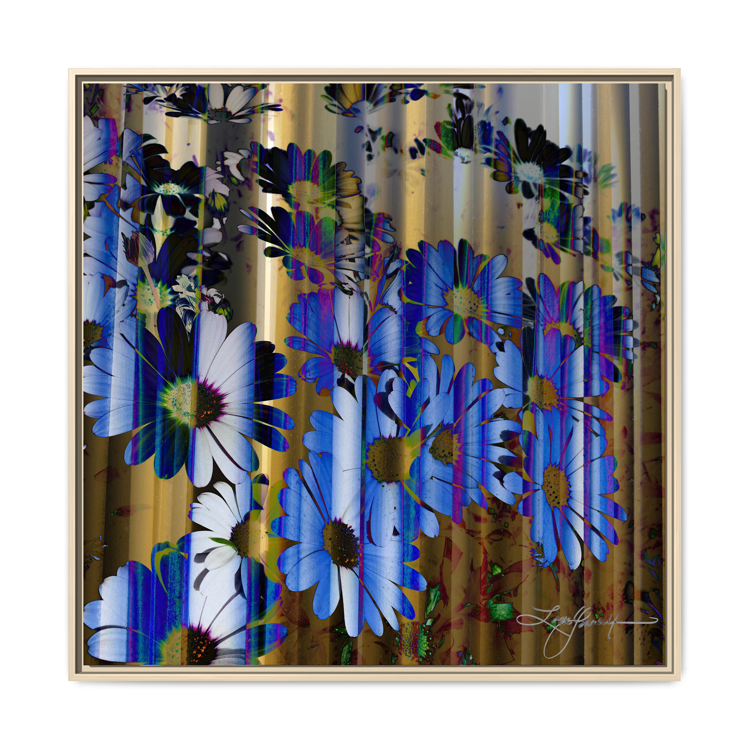 TBN009