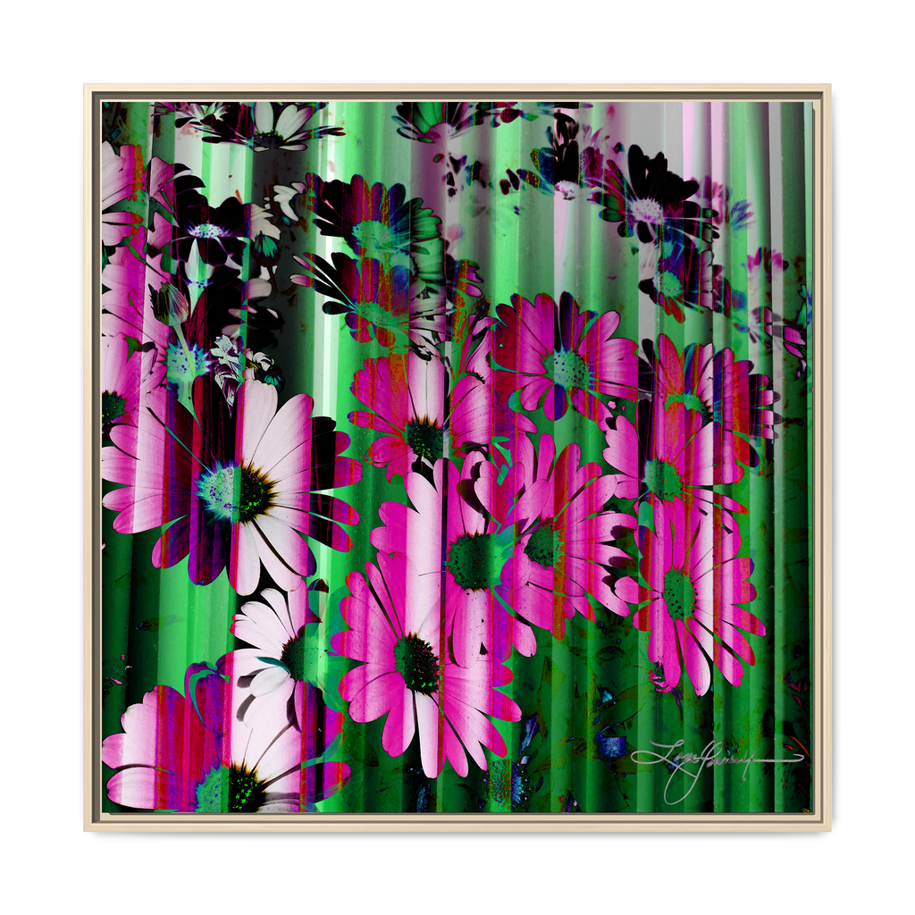 TBN009