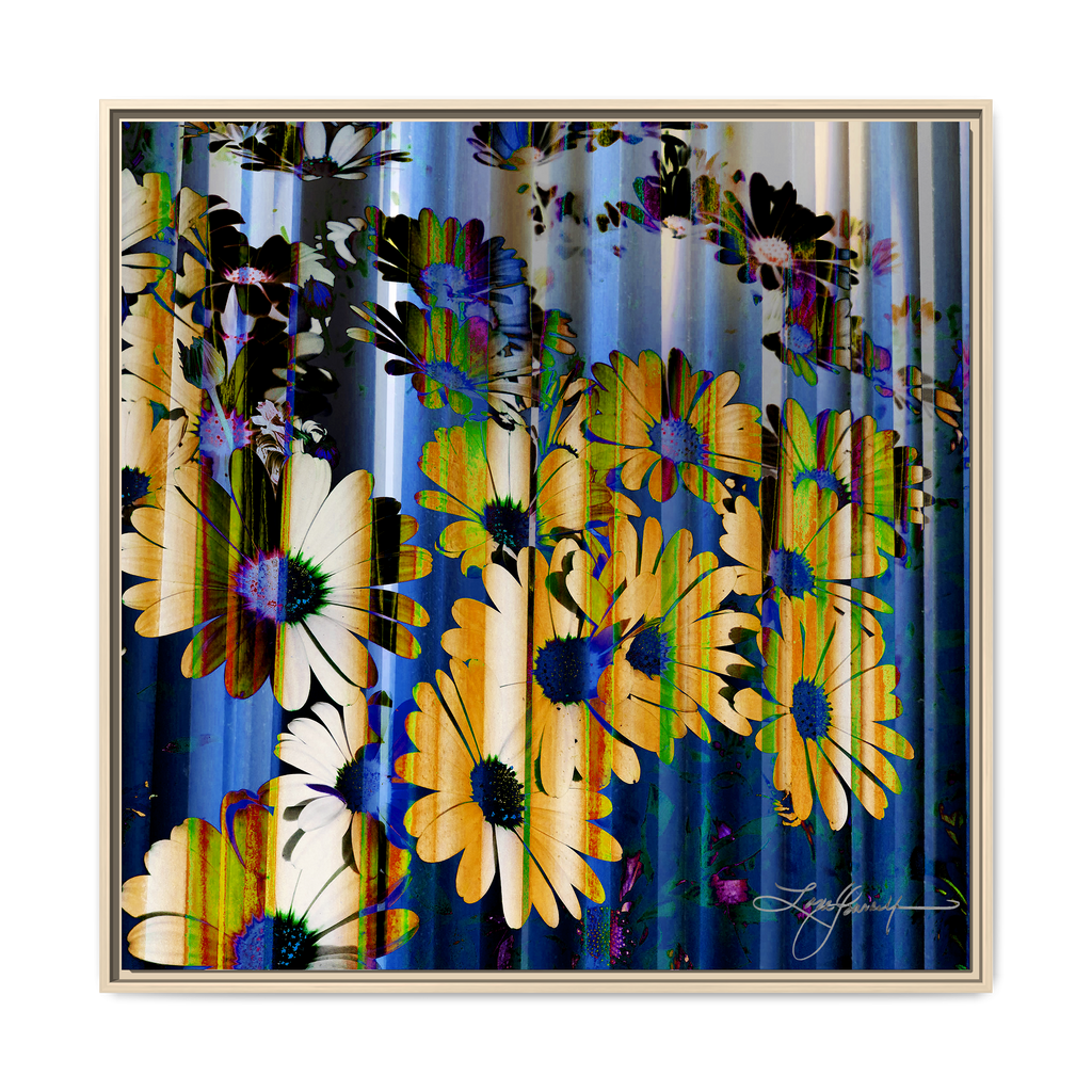 TBN009