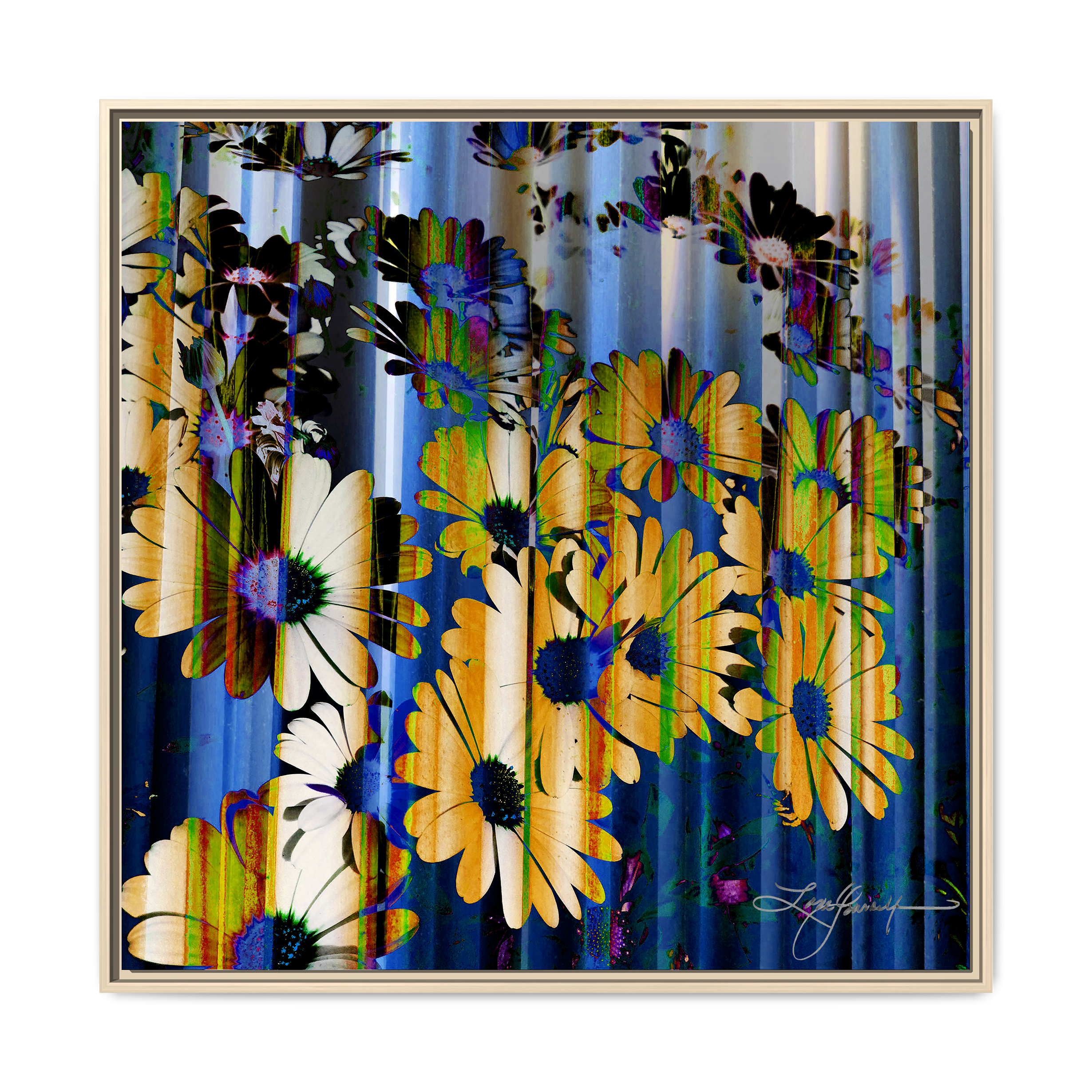 TBN009