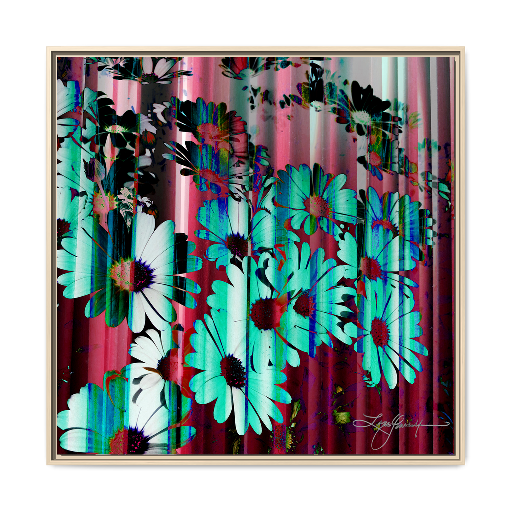 TBN009