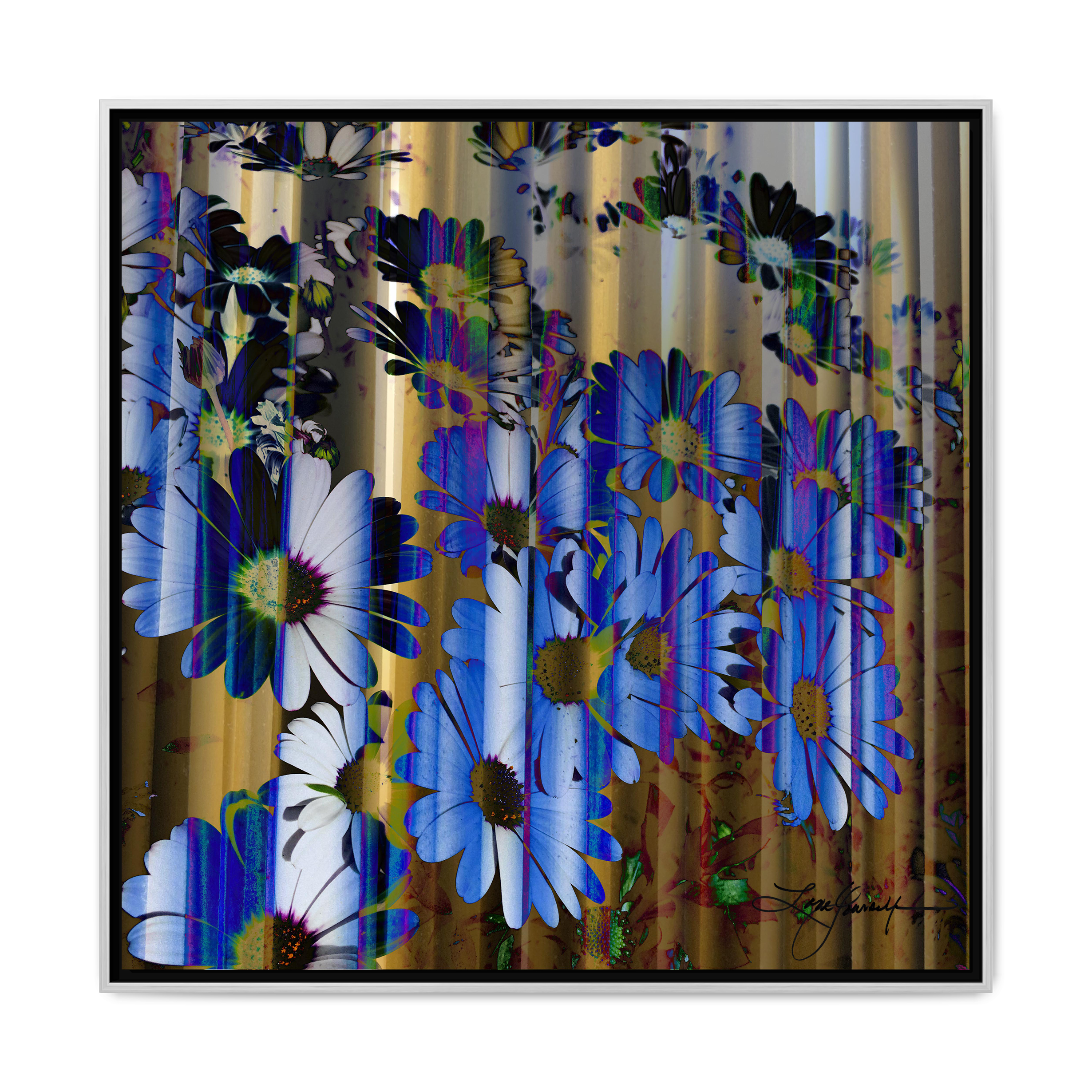 TBN009