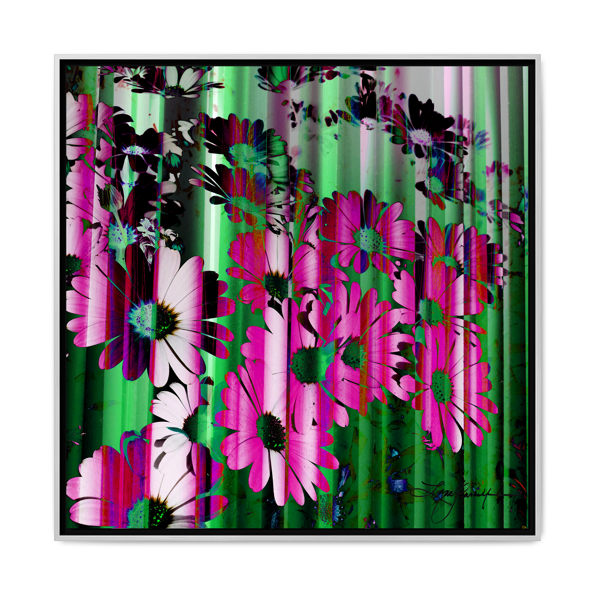 TBN009