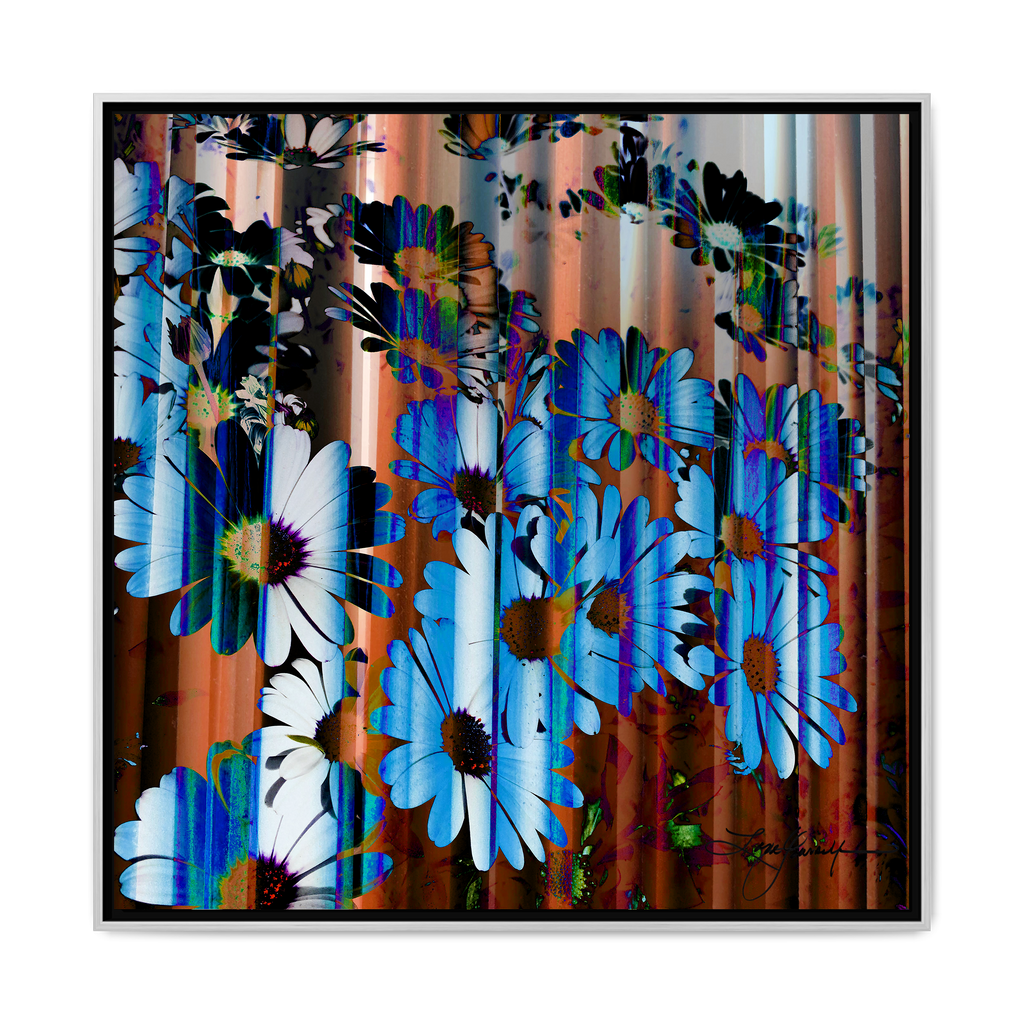 TBN009