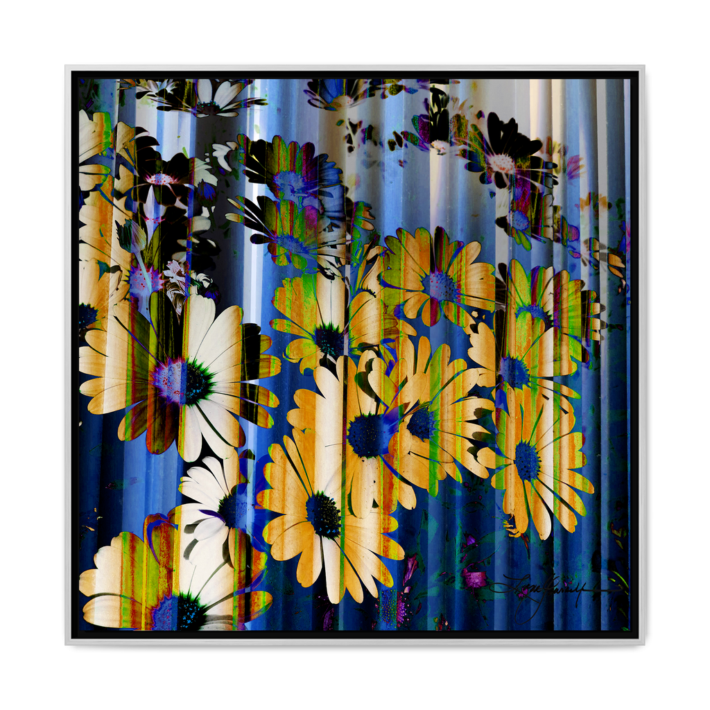 TBN009