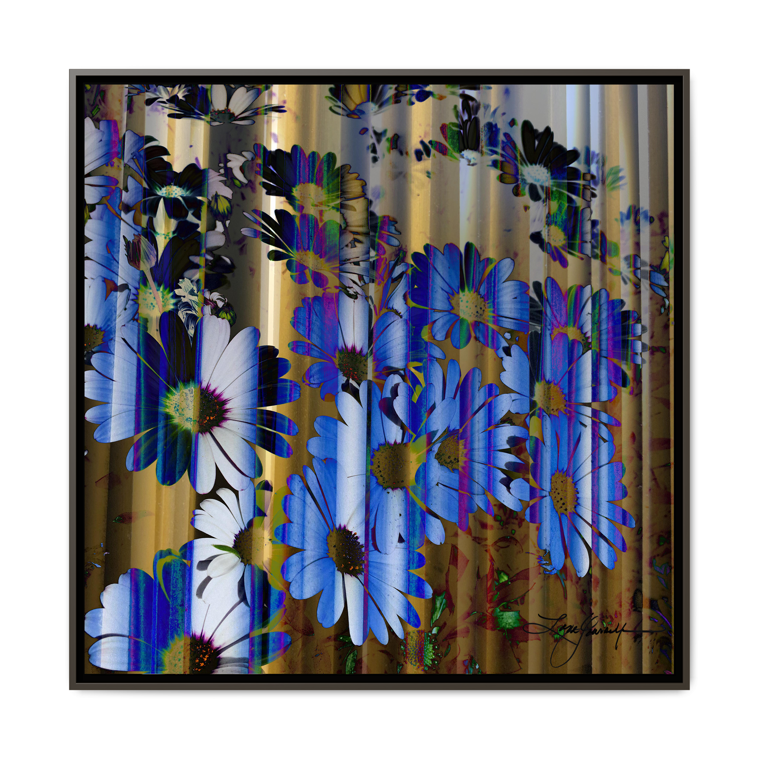 TBN009