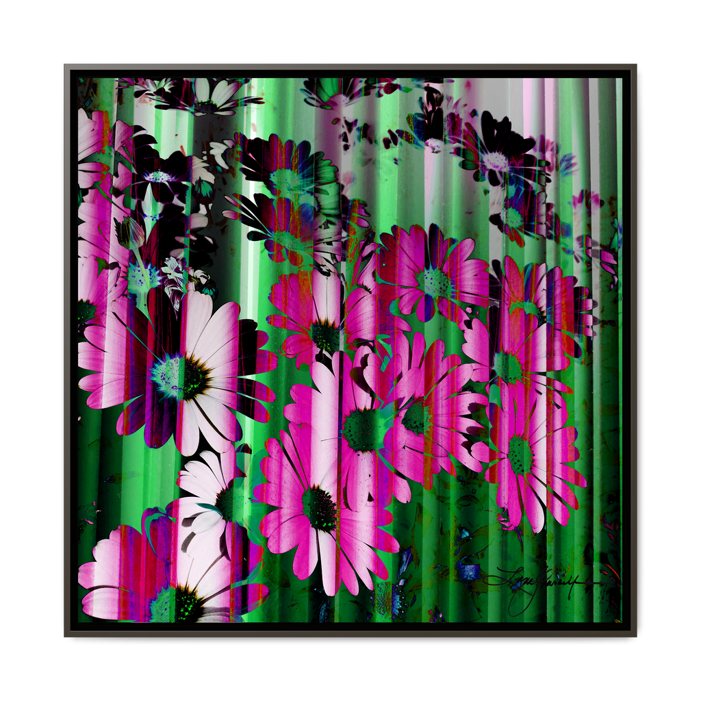 TBN009