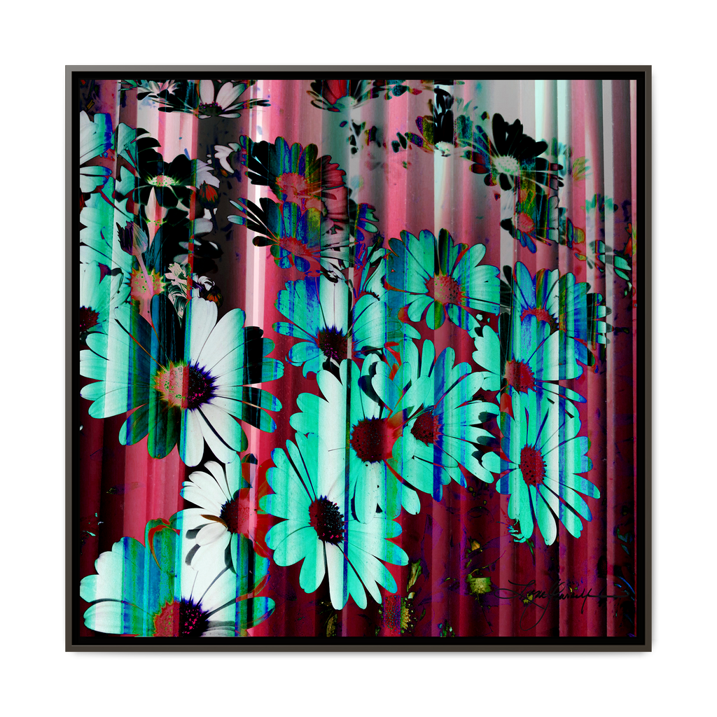 TBN009