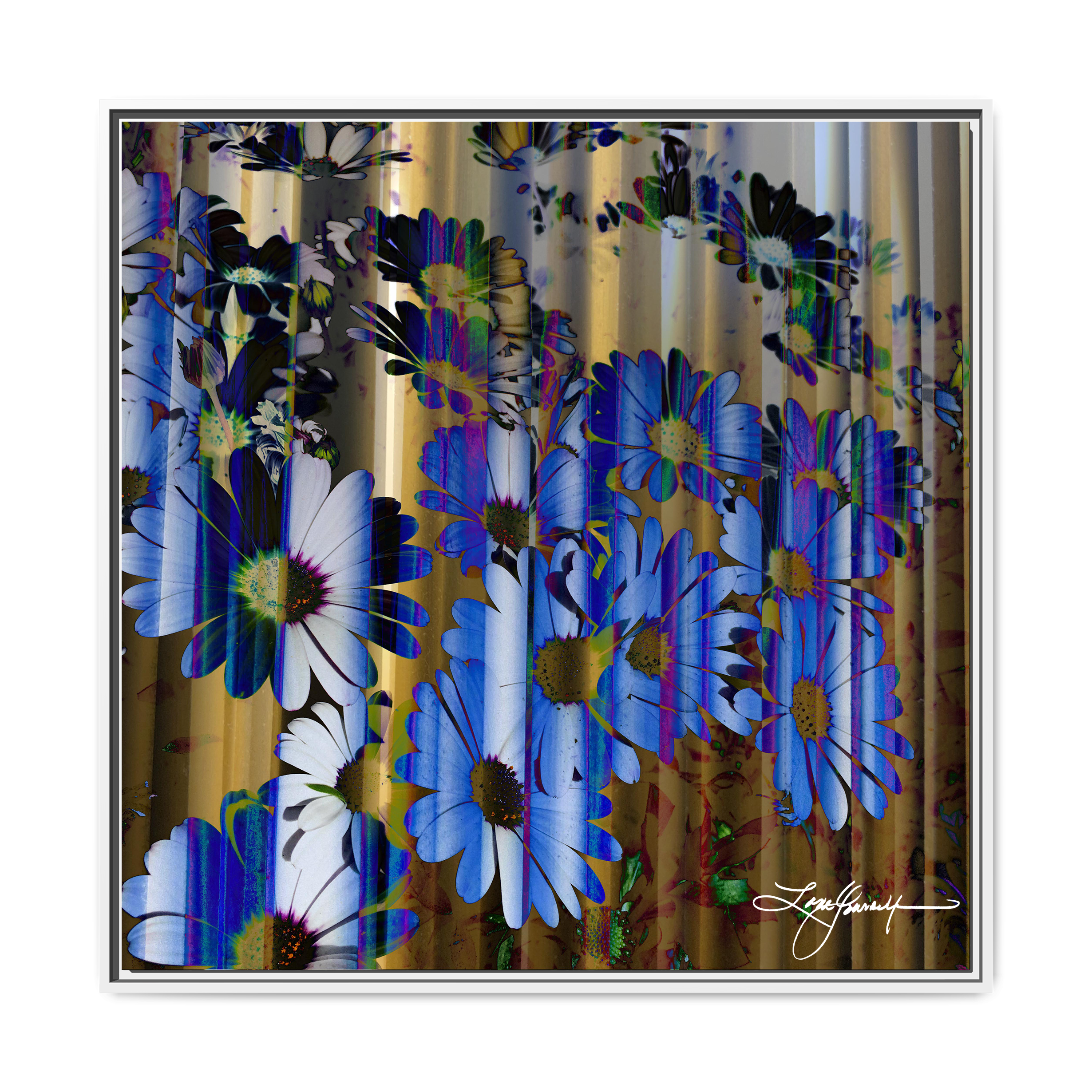 TBN009