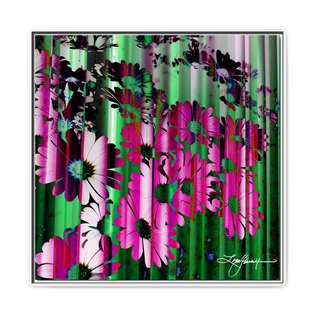TBN009
