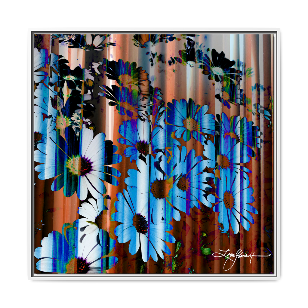 TBN009
