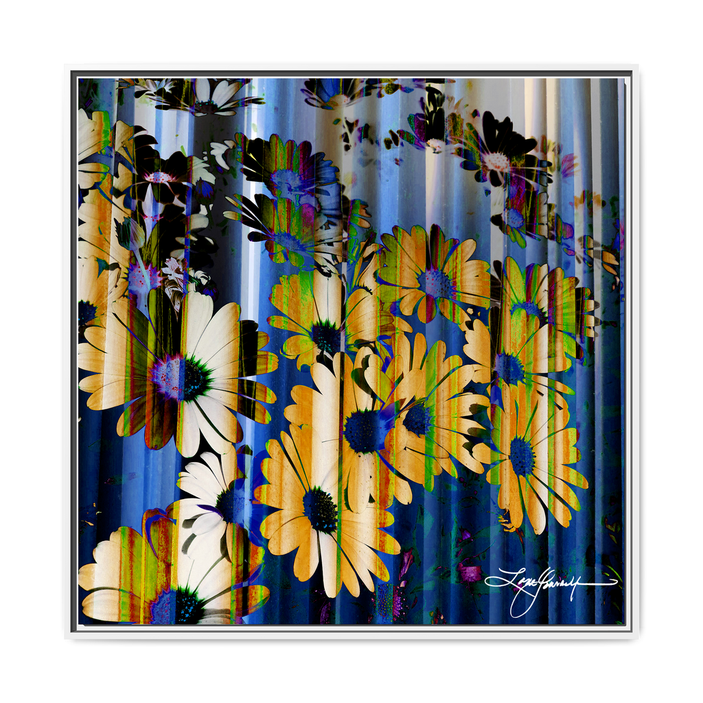 TBN009