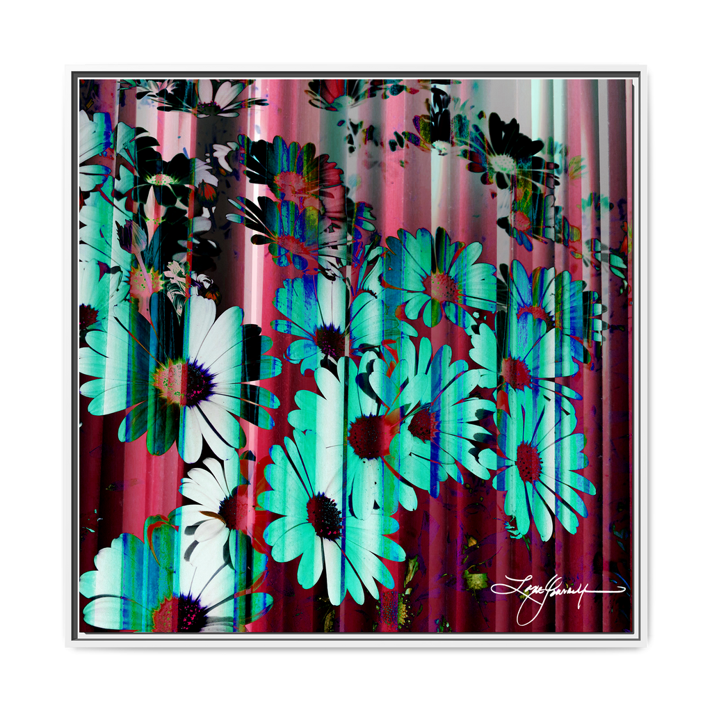 TBN009