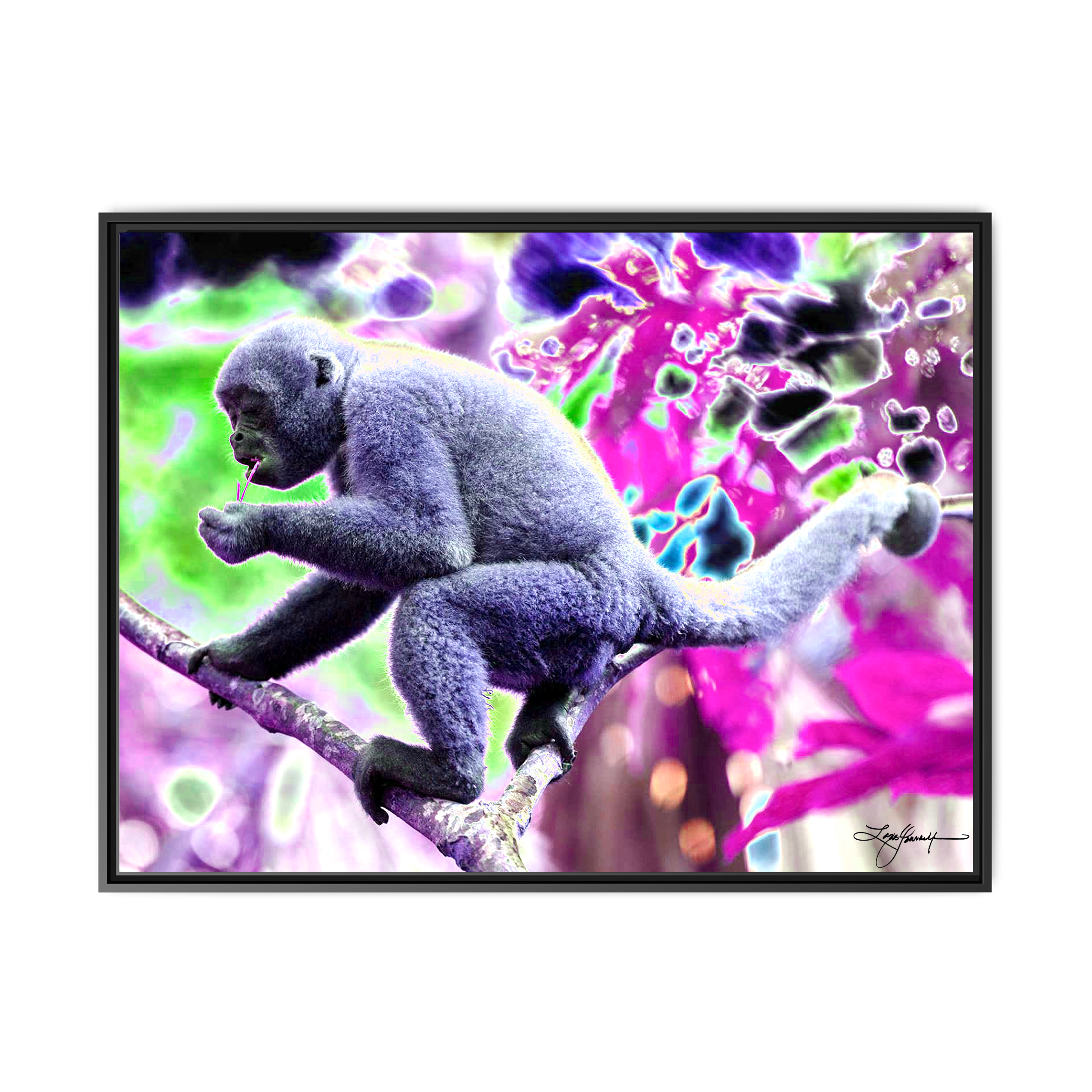 TBN010