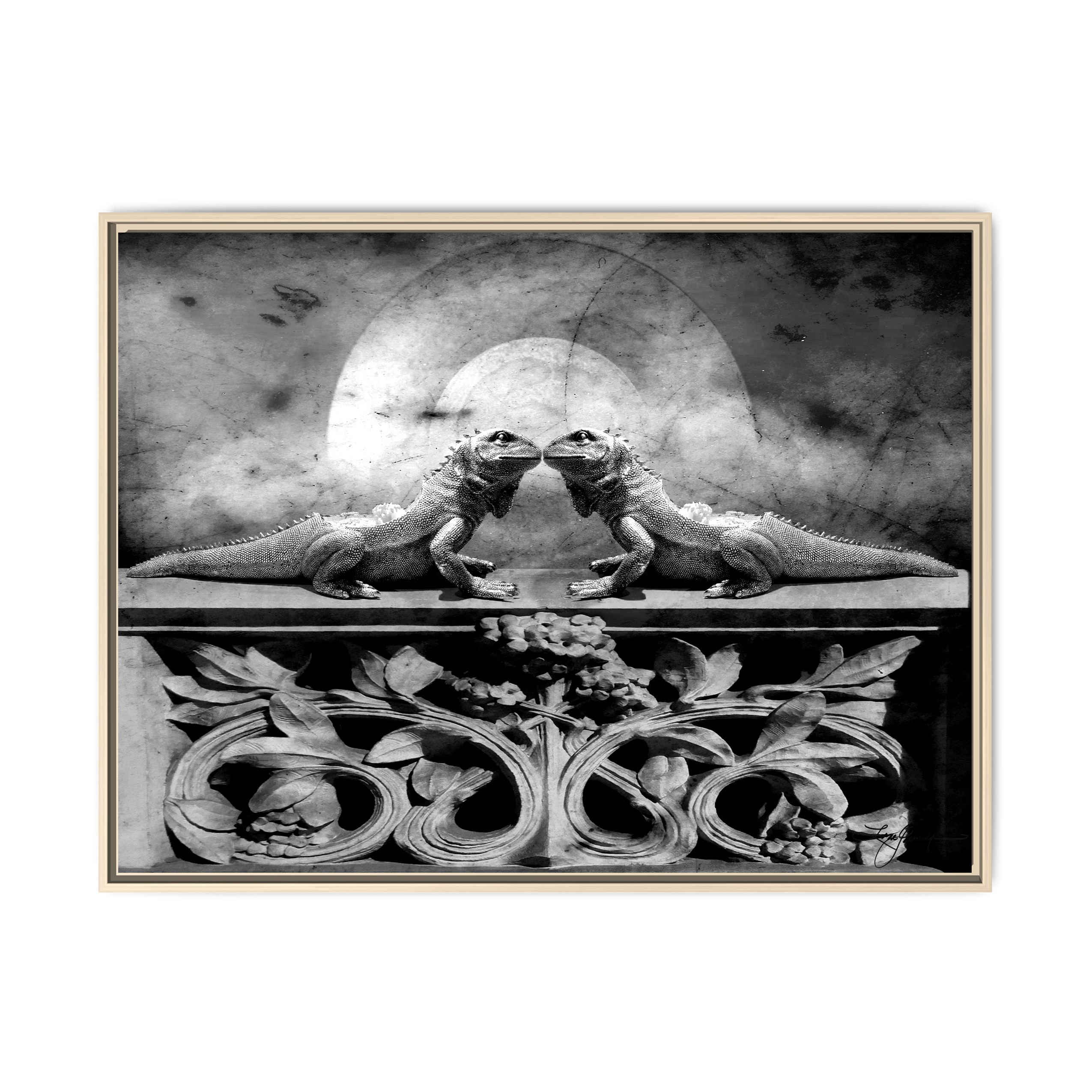 TBN014