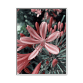 A White