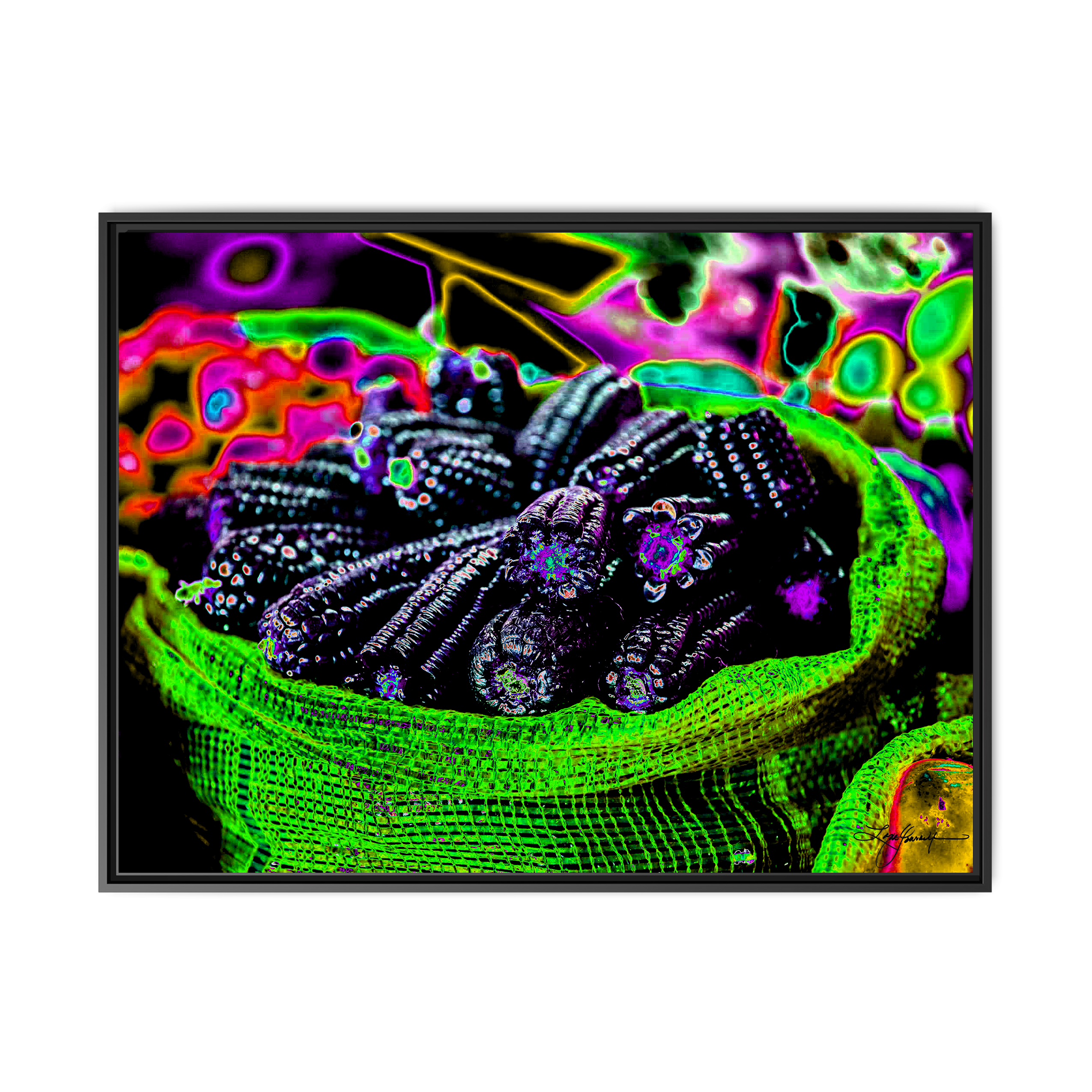 A Black