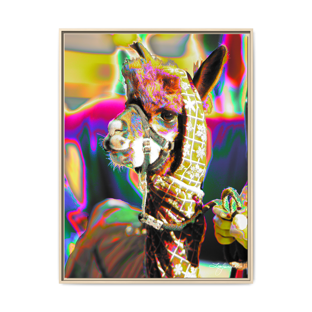 TBNF