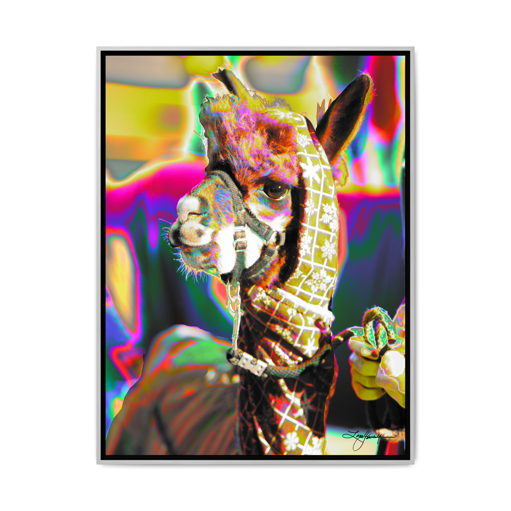 TBNF