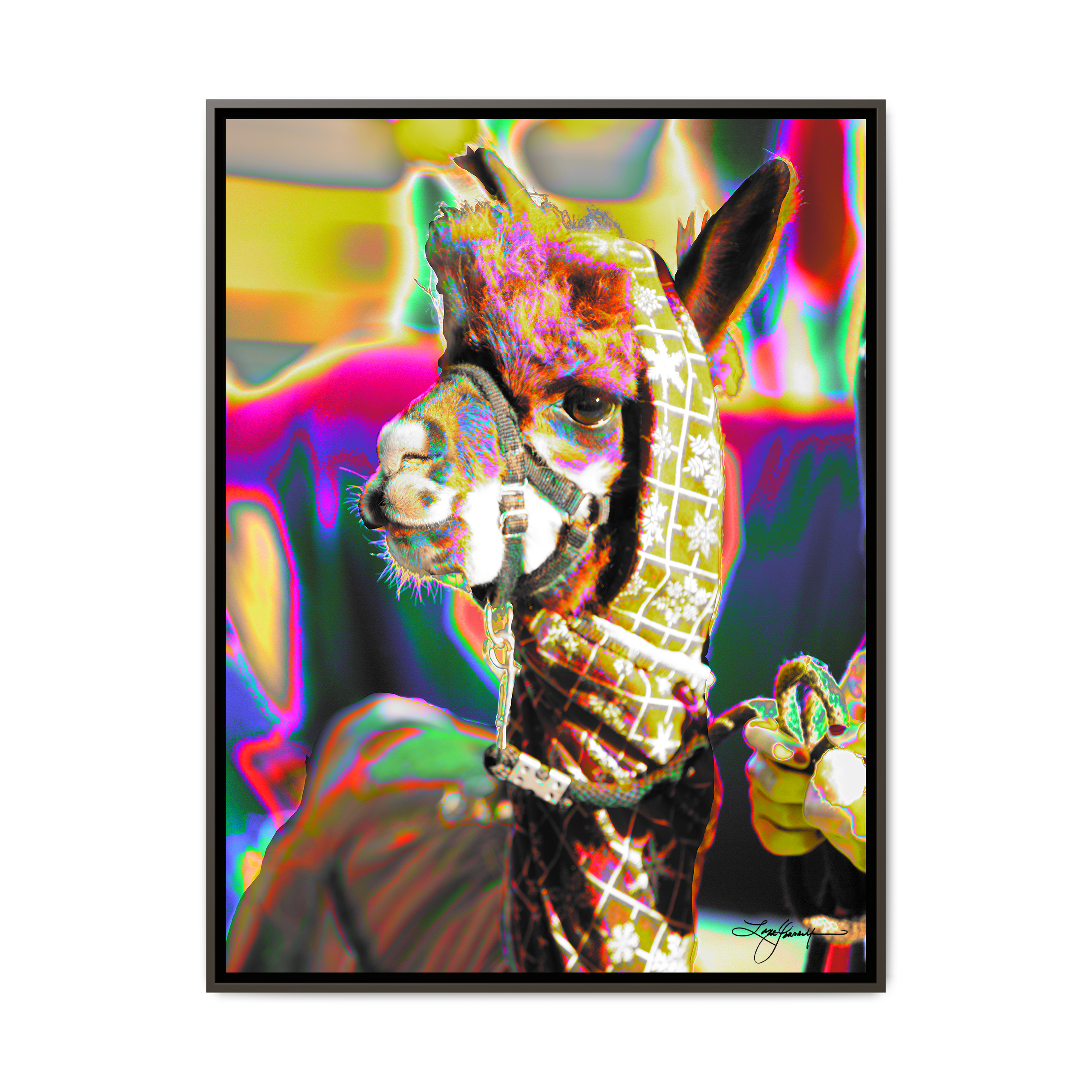 TBNF