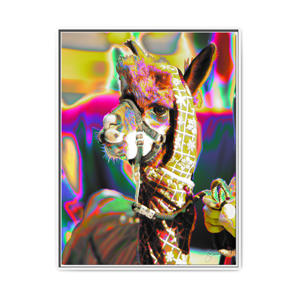 TBNF