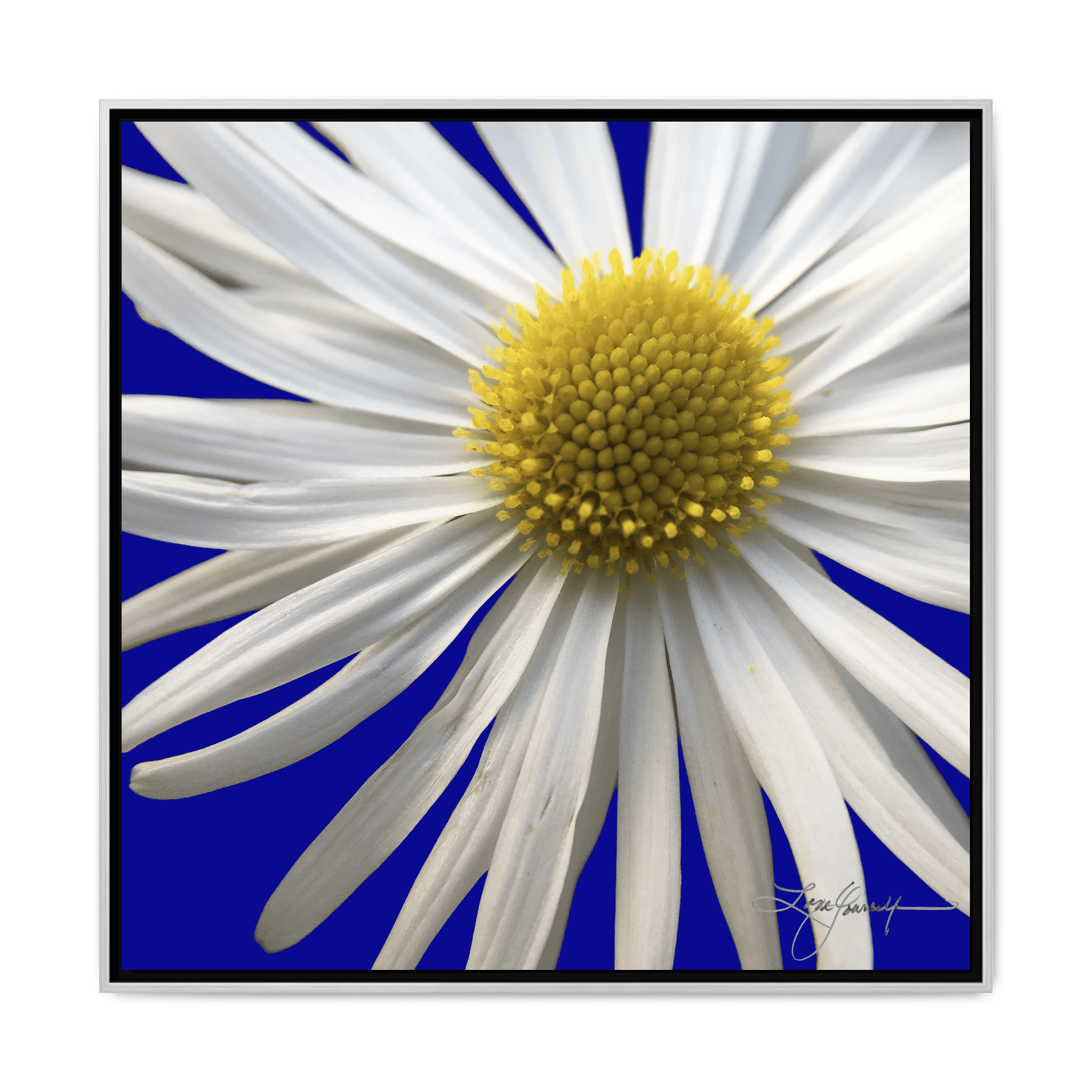 B Silver