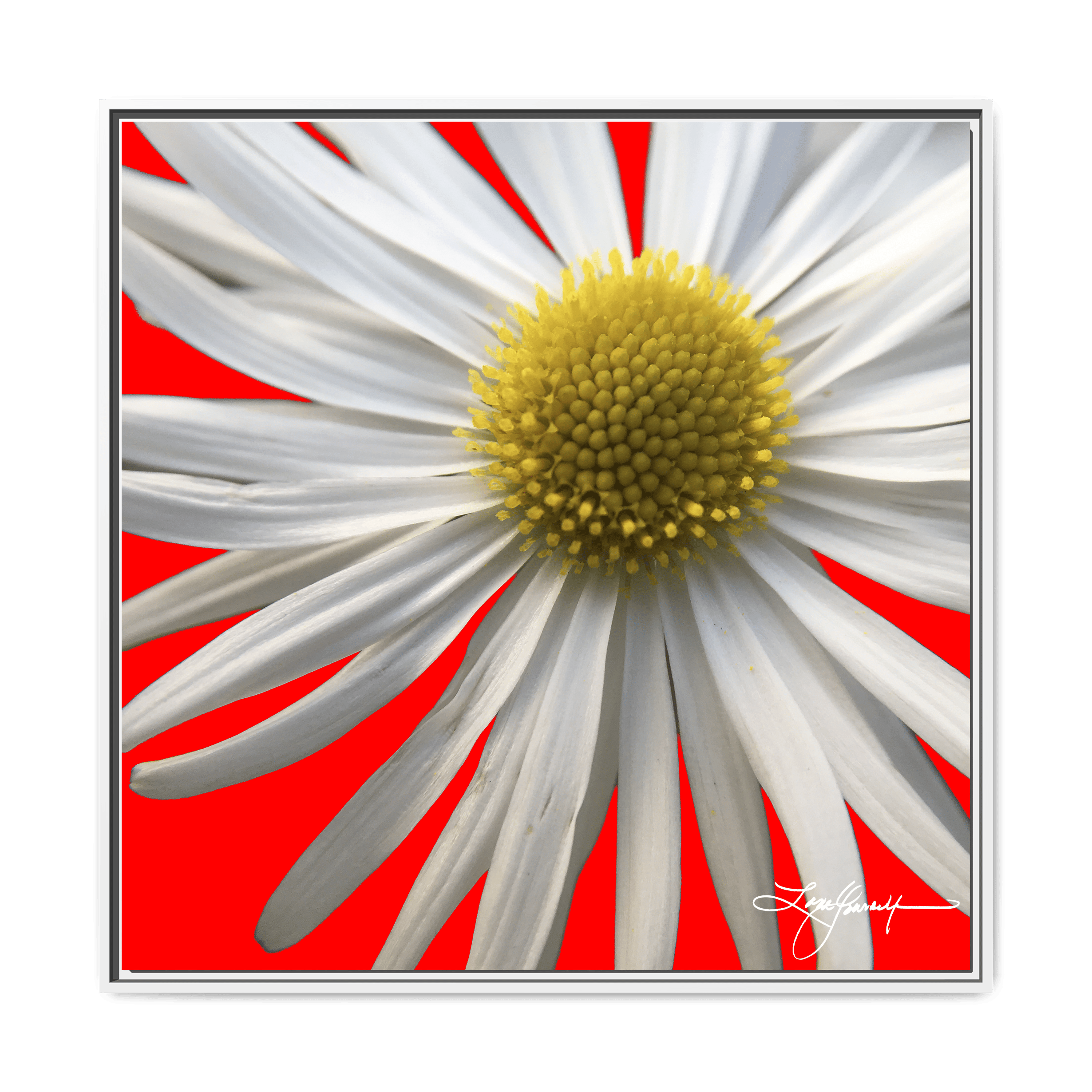 A White