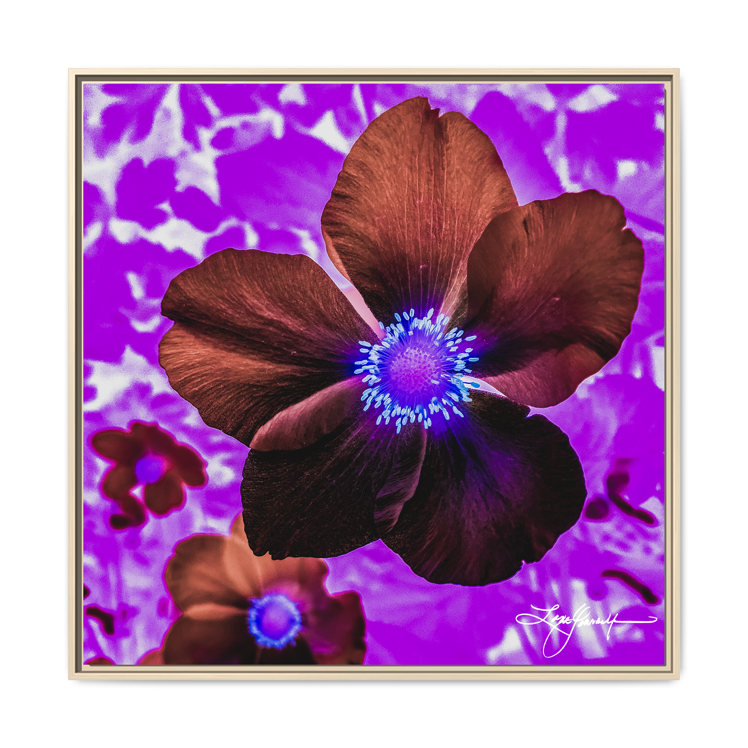 B Natural