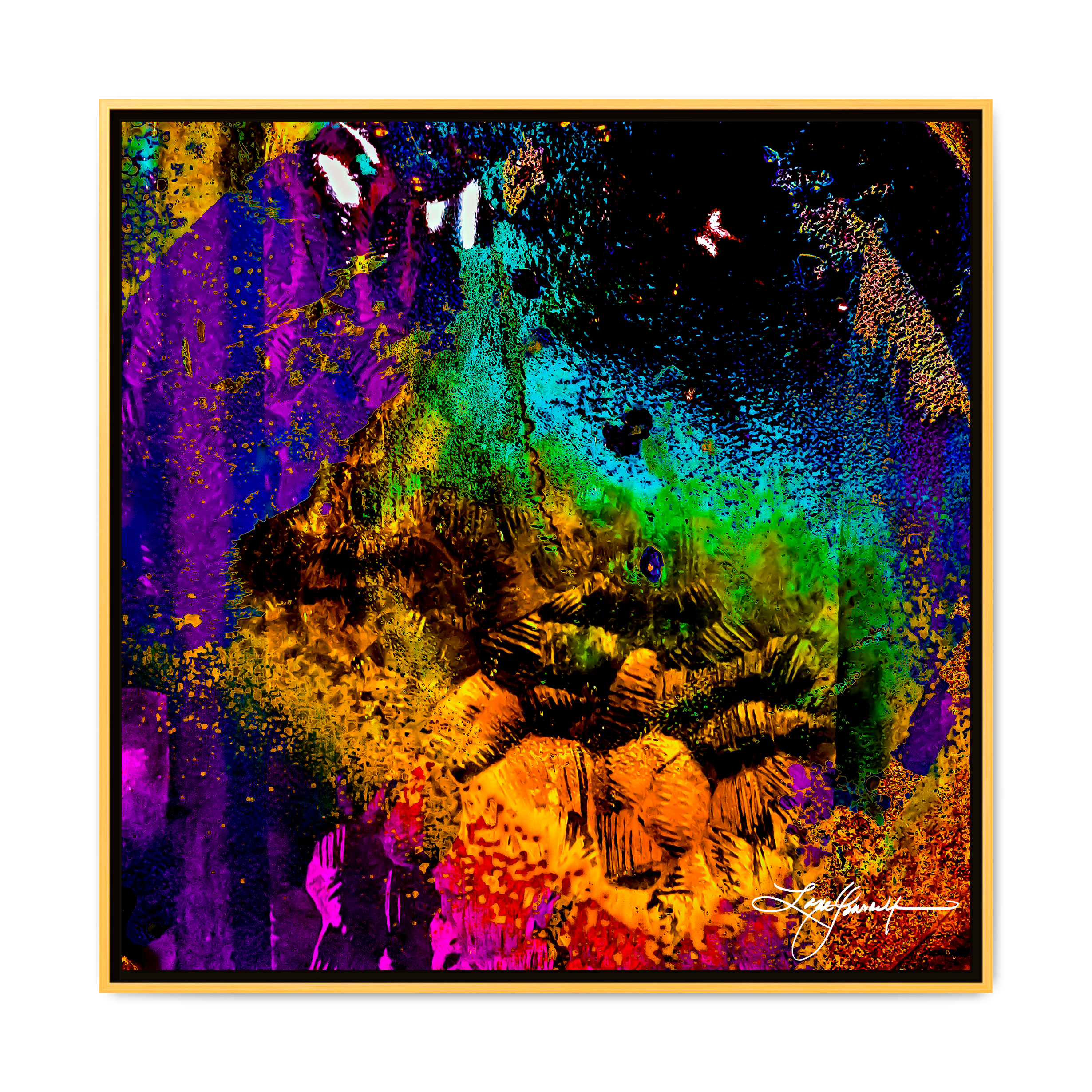 C Gold